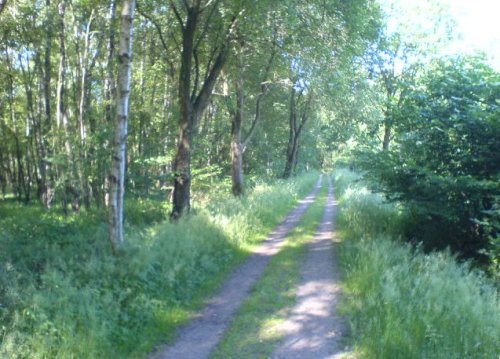 schatten